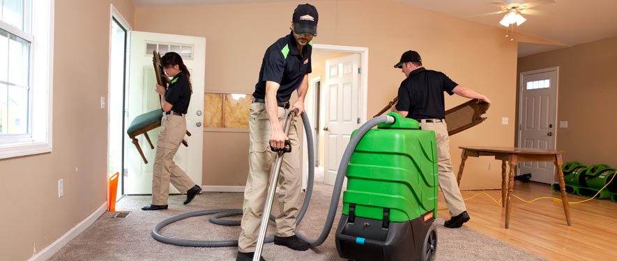 Colonia, NJ cleaning services